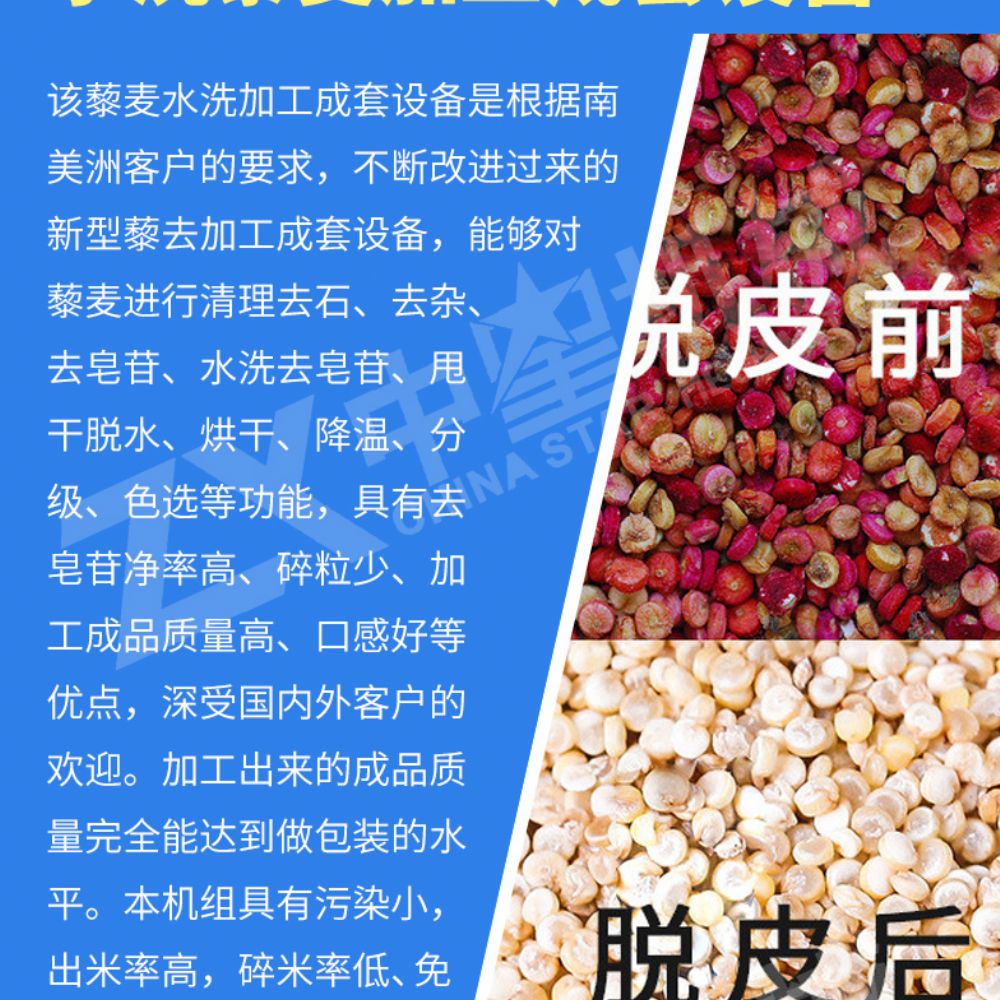 水洗藜麥加工成套設備