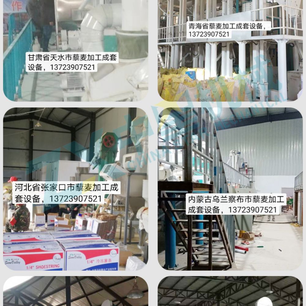 水洗藜麥加工成套設備