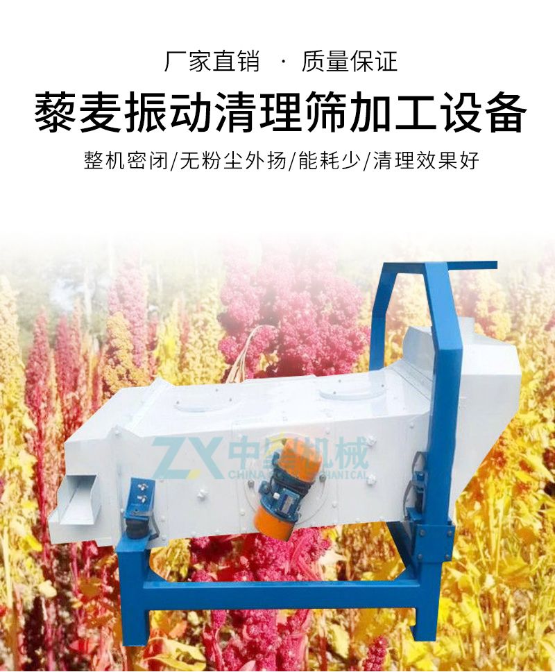 藜麥振動清理篩加工設(shè)備