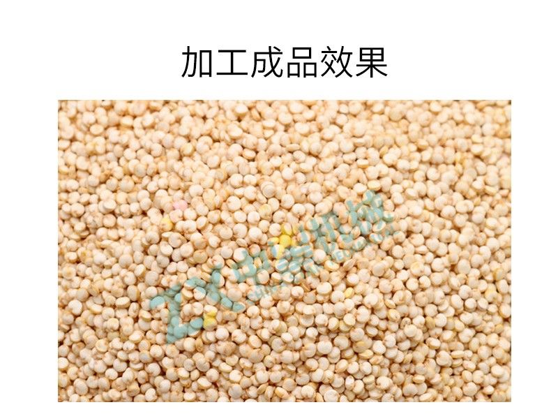 ZX-MC2藜麥專用霧化拋光機