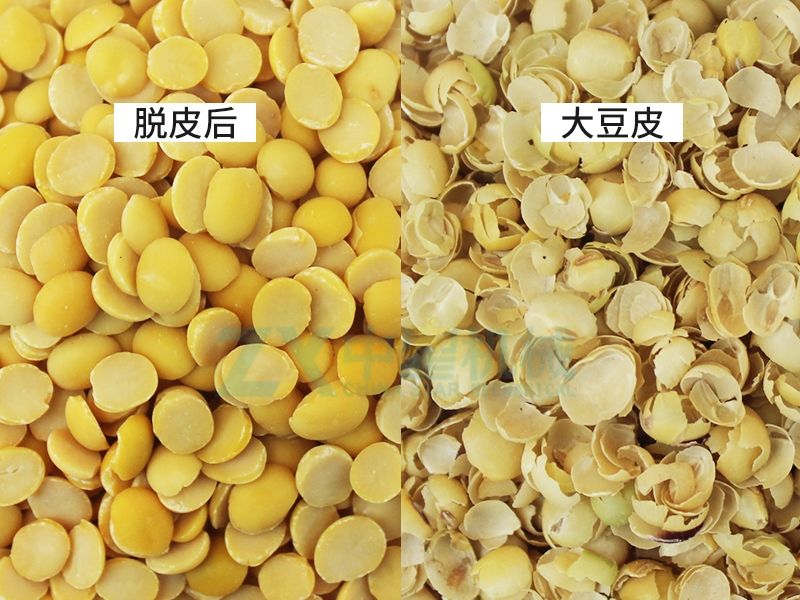大豆分瓣機(jī)
