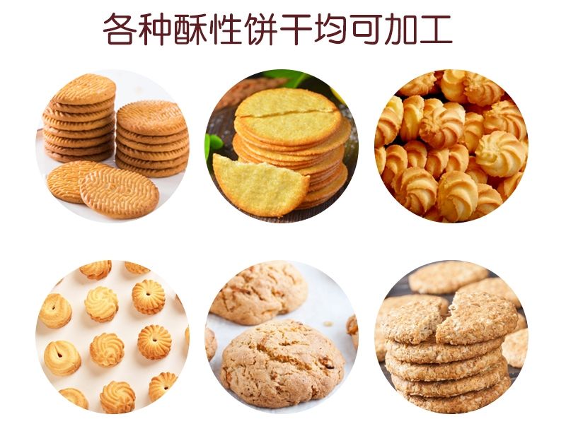 藜麥酥性餅干加工成套設備04_Jc.jpg