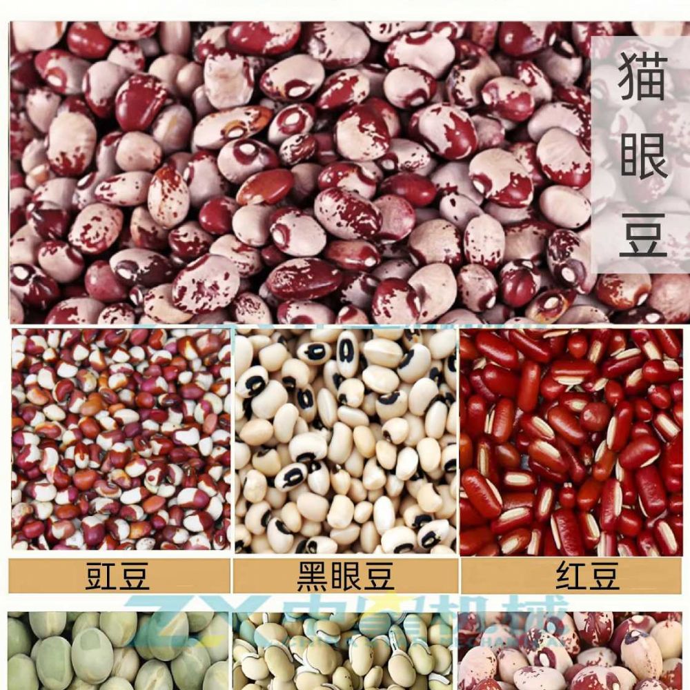 貓眼豆脫皮機(jī)